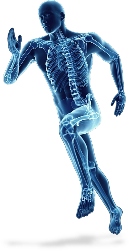 Illustrazione di un corpo umano in corsa con lo scheletro in evidenza